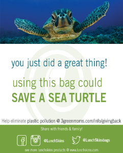 save a turtle