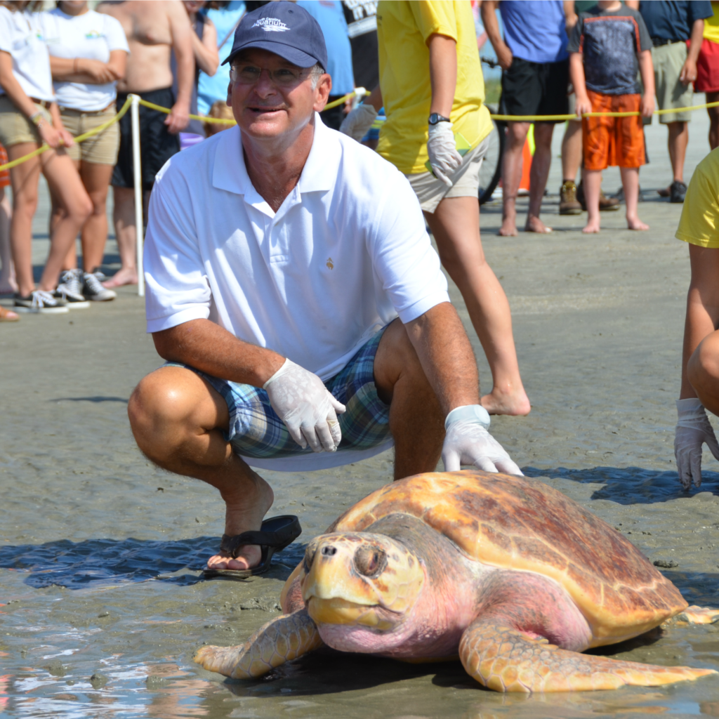 ©South Carolina Aquarium Sea Turtle Rescue Program Sea Turtle Release June 30 2016 Lady (22)
