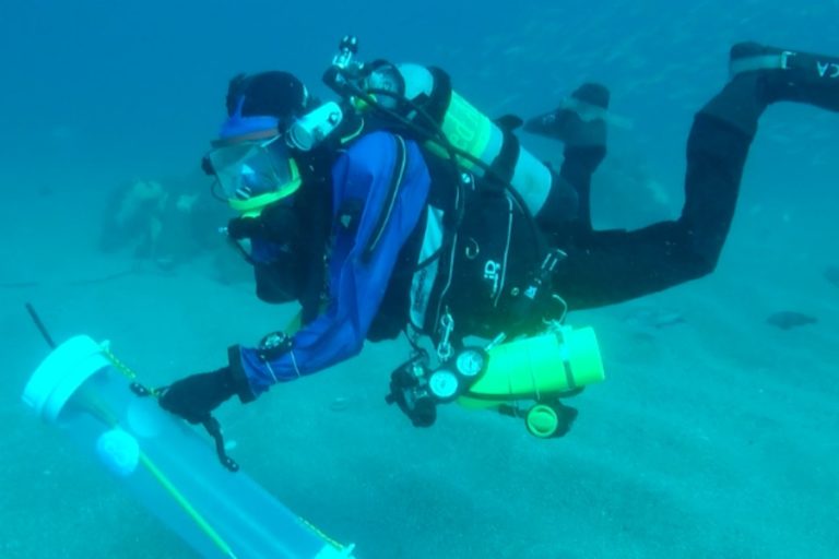 About about Reef Research at the South Carolina Aquarium