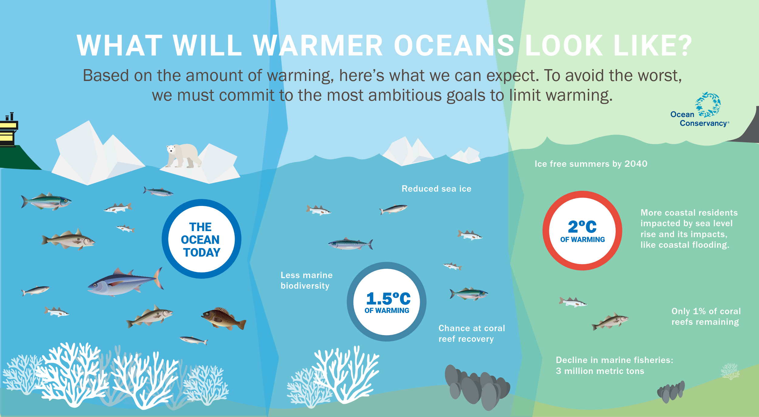 Slow down climate change rising sea. Climate change and Oceans. Lukewarm Ocean. Climate change different Fishes meet together. Iconic British Corals predicted to be resilient to climate change.