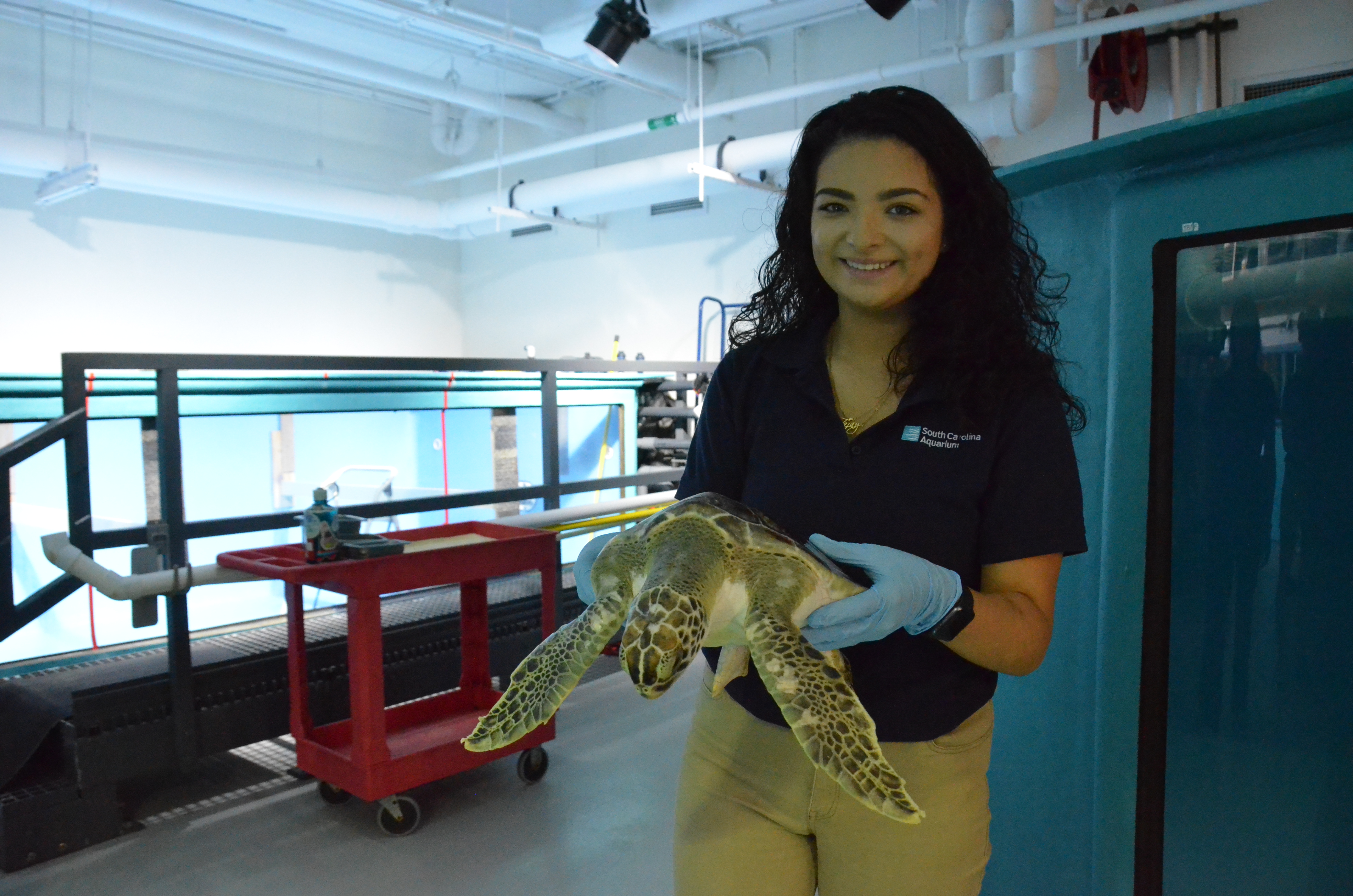 DSC_0859 | South Carolina Aquarium