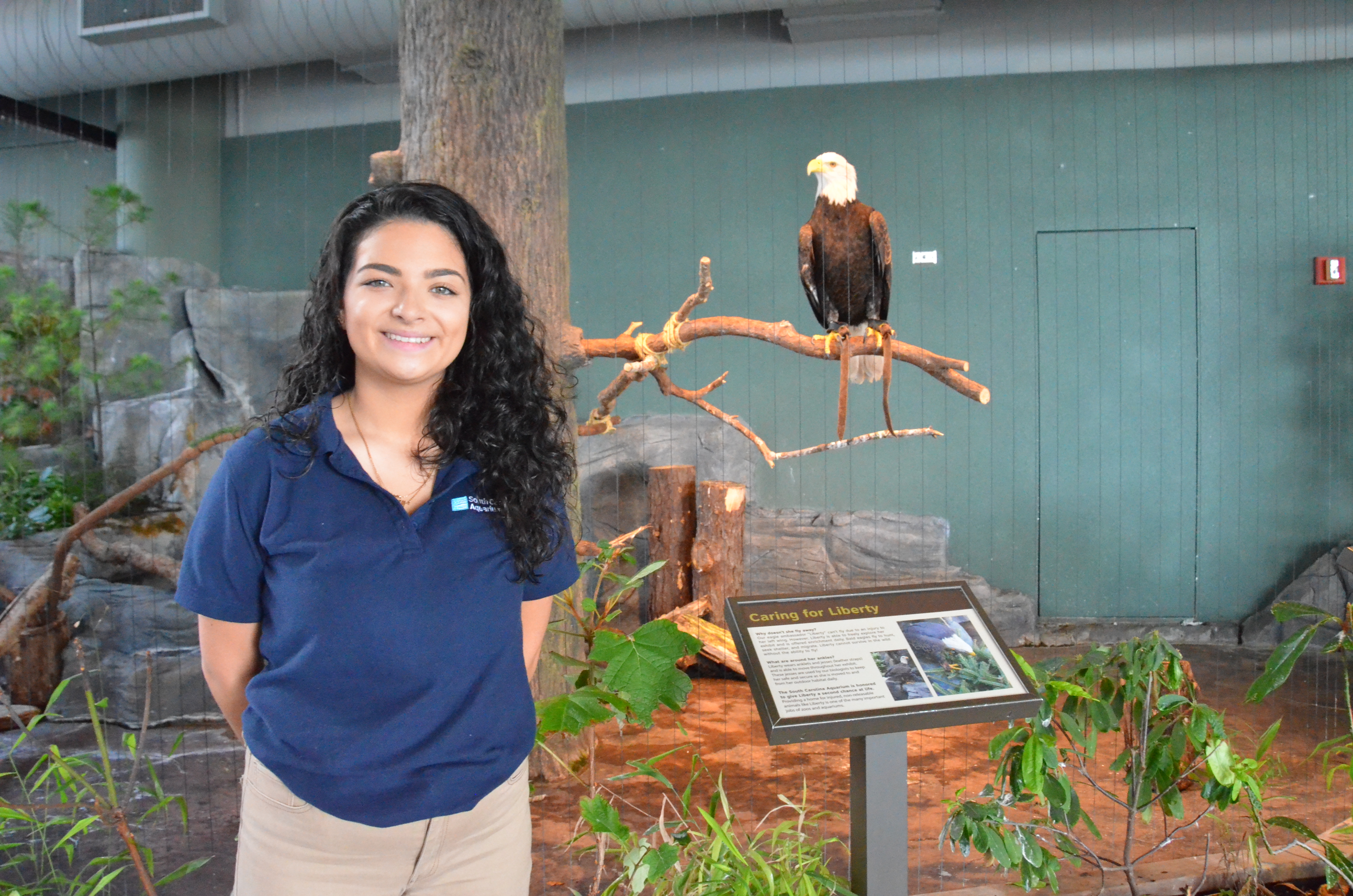 DSC 0924 South Carolina Aquarium   DSC 0924 