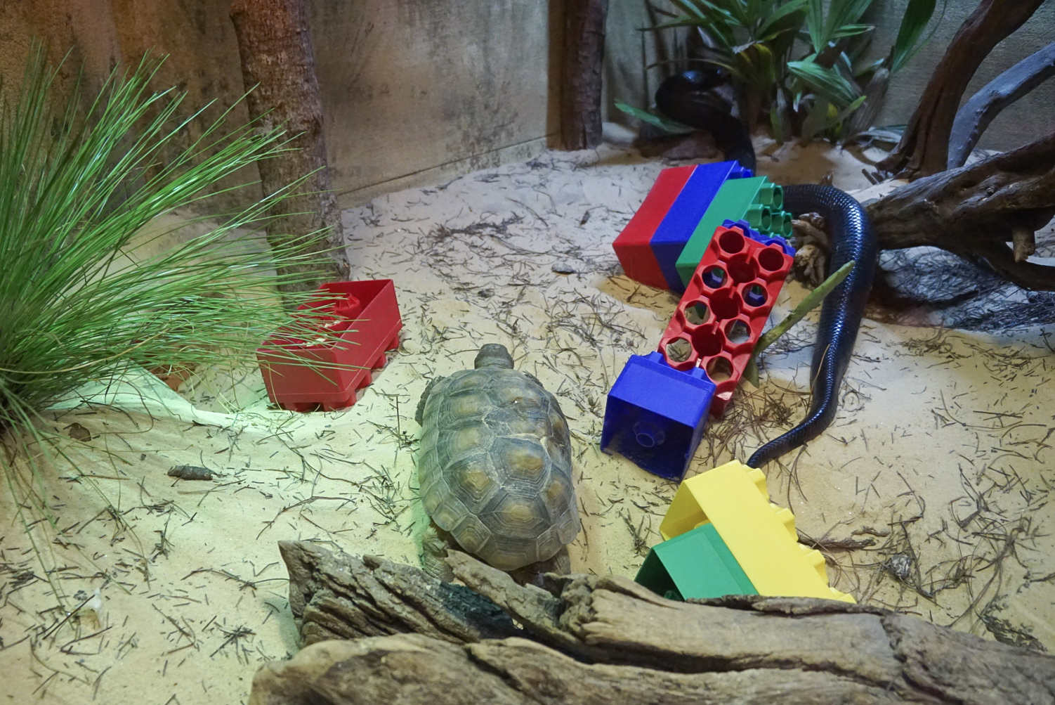 Bricks Enrichment