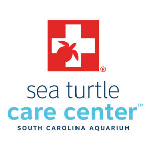 Sea Turtle Care Center