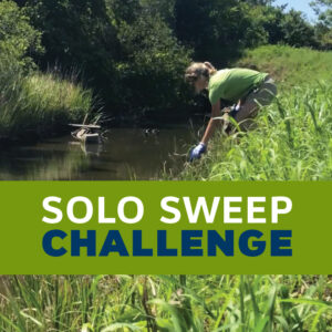 Solo Sweep Challenge