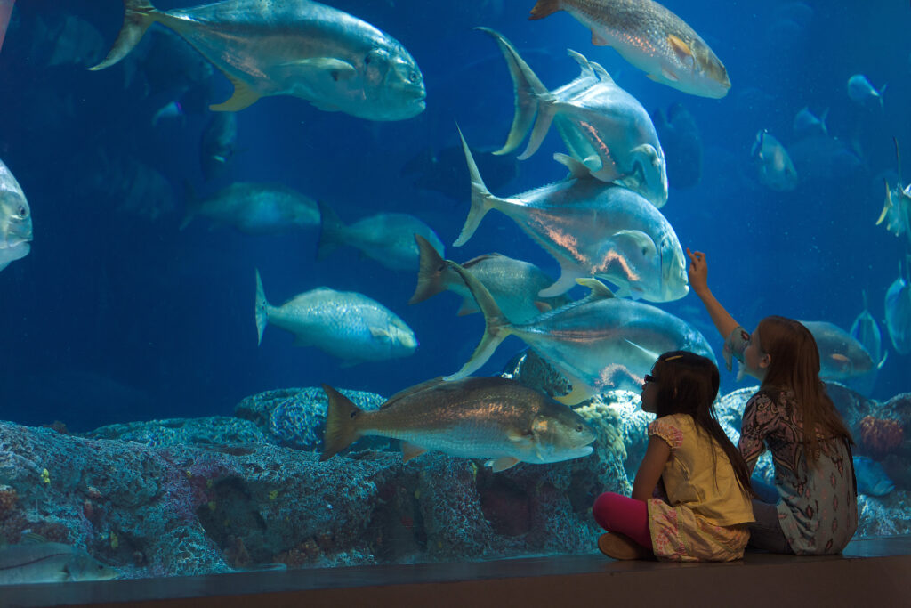 Join today! | Membership to the South Carolina Aquarium