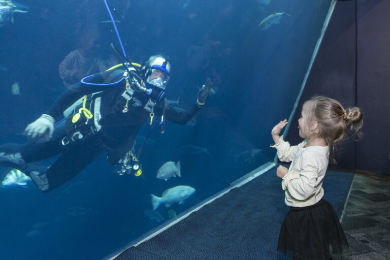 Join today! Membership to the South Carolina Aquarium