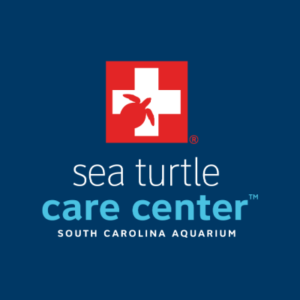Sea Turtle Care Center