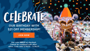 Celebrate with $21 off membership