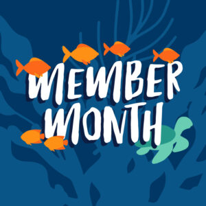 Member Month