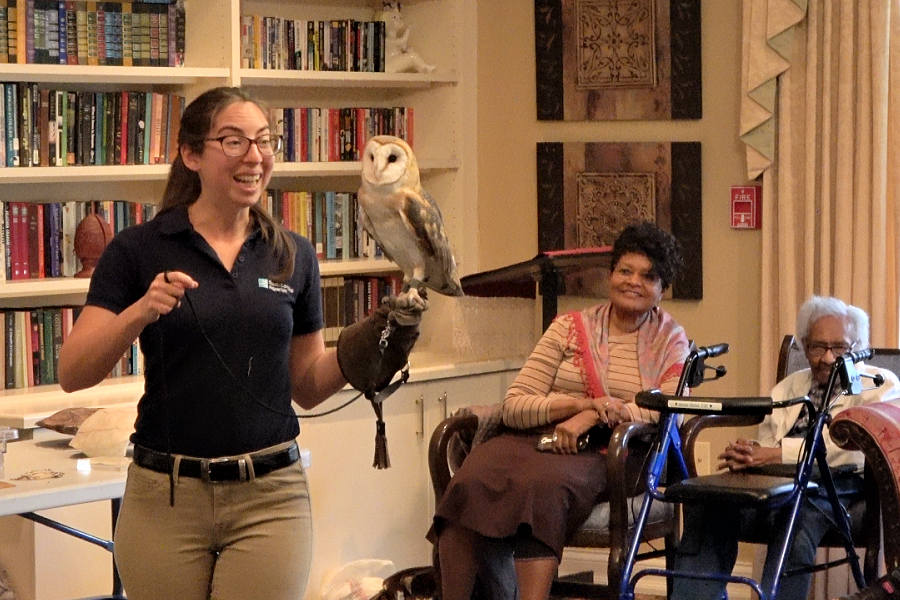 Educator shows barn owl to members of a retirement home