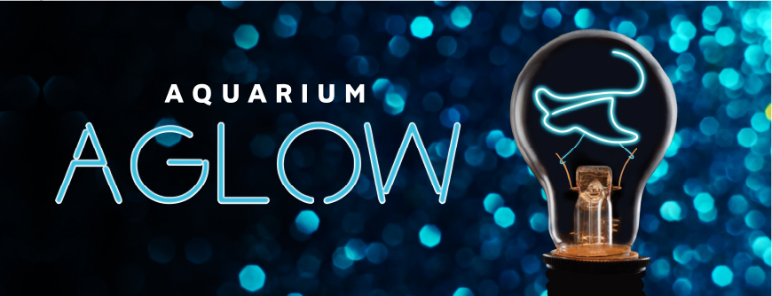 Aquarium Aglow