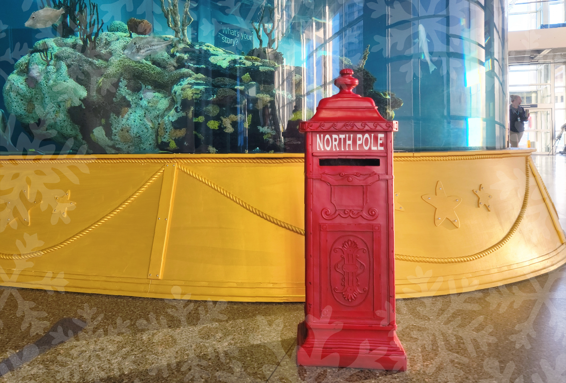 a red mailbox labeled "North Pole" sits in front of the Carolina Seas exhibit