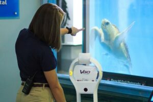 a South Carolina Aquarium educator points to a sea turtle while teaching via an educational robot
