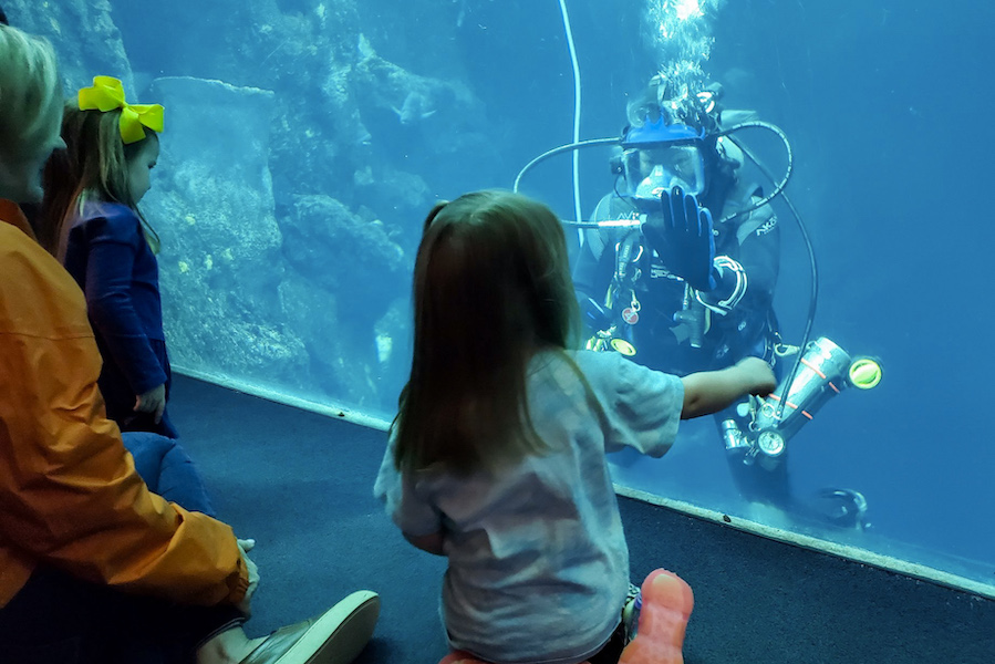 a woman and two young girls sit on the floor by the Great Ocean Tank at South Carolina Aquarium while interacting with a scuba diver under the water