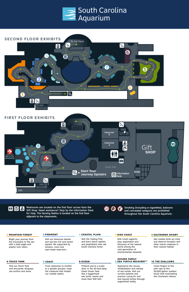 South Carolina Aquarium Map 2022 South Carolina Aquarium   South Carolina Aquarium Map 2022 768x1181 