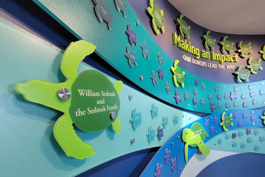 a wall in South Carolina Aquarium is decorated with turtles bearing the names of donors