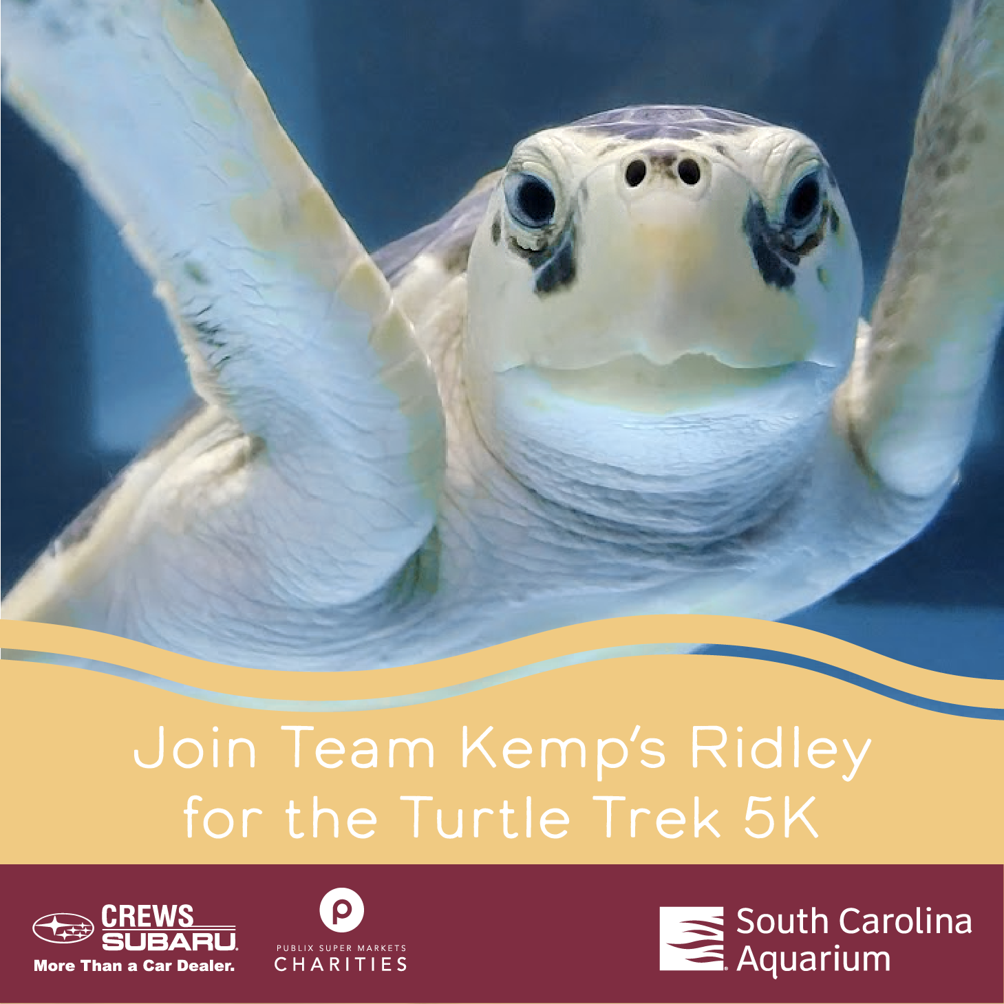 Turtle Trek Toolkit South Carolina Aquarium