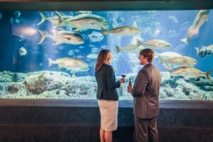 A woman with a glass of red wine and a man with a bottle of beer wear business attire and stand in front of the Great Ocean Tank exhibit at South Carolina Aquarium. Many fish are seen swimming in the tank.