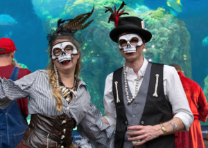 A woman and man in skull masks and Halloween attire stand in front of the Great Ocean Tank at South Carolina Aquarium. They smile and laugh, looking at the camera.