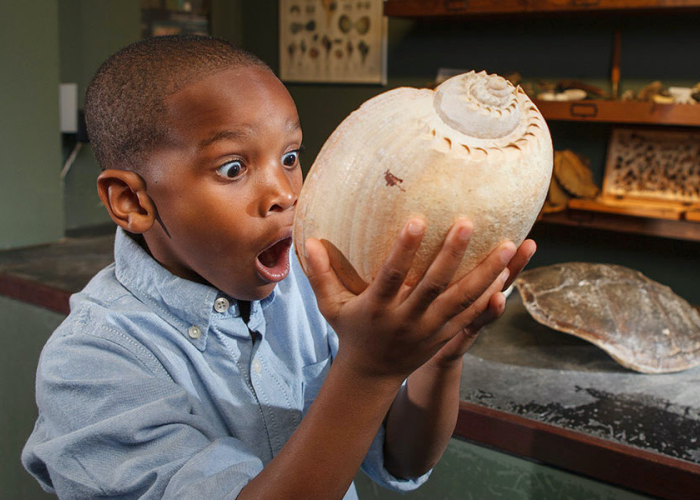 A boy holds a large seashell and looks amazed by it. He stands in front of The Trading Post at South Carolina Aquarium.