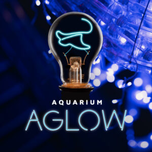 Aquarium Aglow