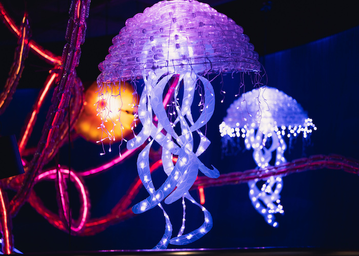 LED holiday lights fashioned in the shape of purple jellyfish with recycled plastic hang in the South Carolina Aquarium