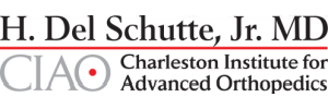 H. Del Schutte, Jr. MD CIAO Charleston Institute for Advanced Orthopedics