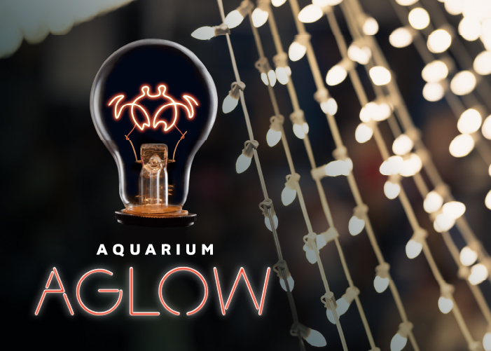 Aglow Crab Email Graphic