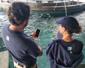 Two South Carolina Aquarium staff measure voltage and make notes as they stand over The Shallows tank.