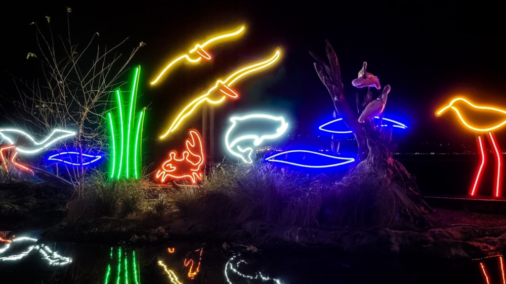 Neon lights shaped like birds and aquatic animals light up during an Aquarium Aglow event at South Carolina Aquarium.