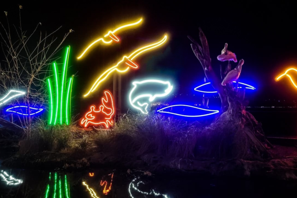 Neon lights shaped like birds and aquatic animals light up during an Aquarium Aglow event at South Carolina Aquarium.