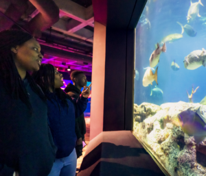 Three adults stand in front of a large tank at the South Carolina Aquarium, looking in awe at the fish swimming by