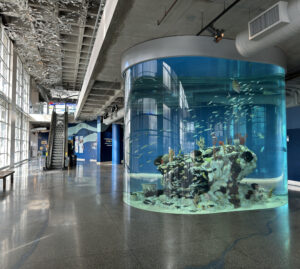 The Carolina Seas exhibit in the Great Hall