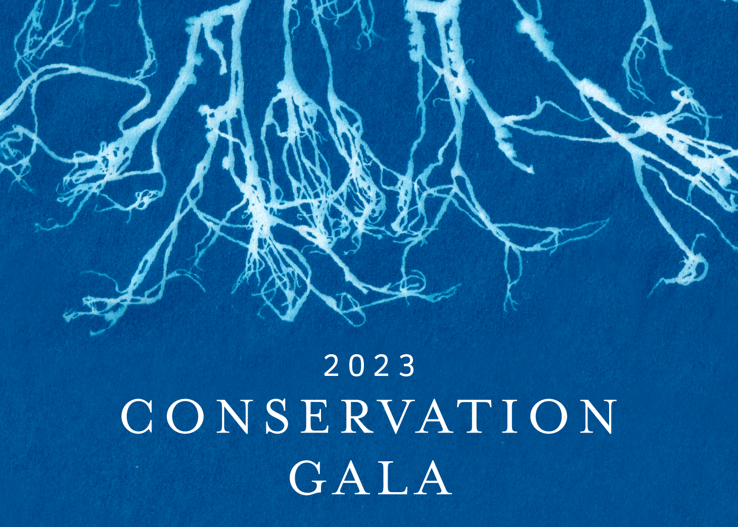 Gala 2023 Email Graphic (1)