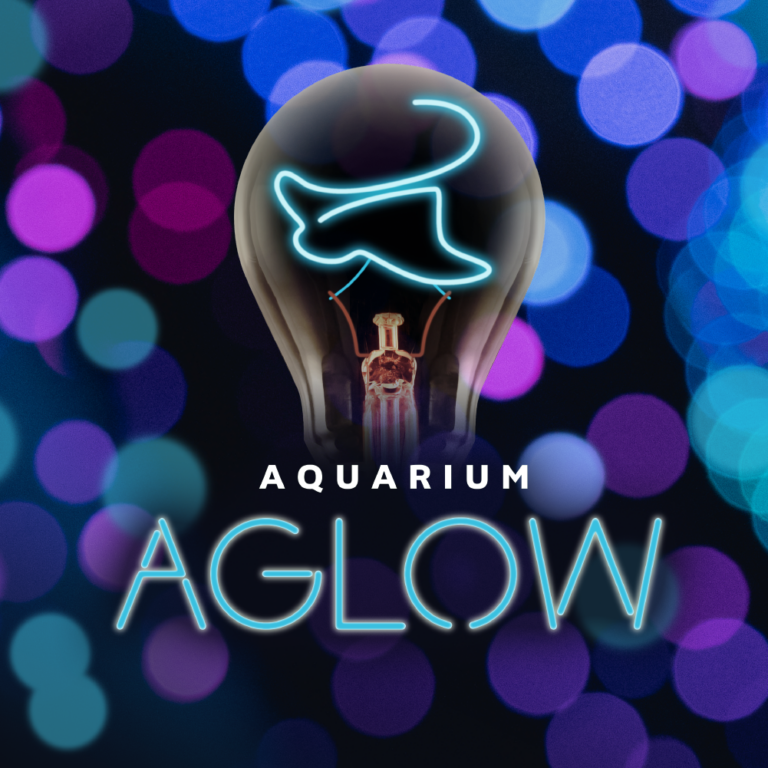 View a South Carolina Aquarium Calendar of Events and Programs View a South Carolina Aquarium Calendar of Events and Programs