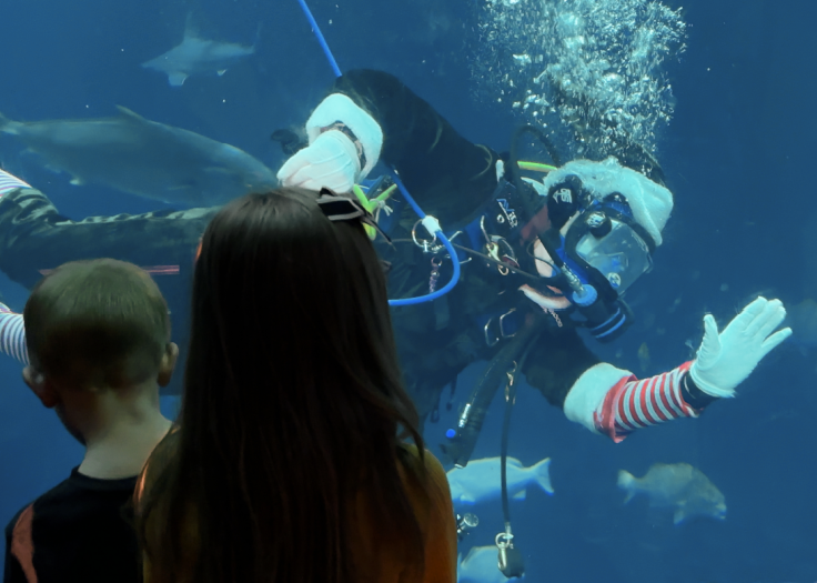 a scuba diver wearing an elf costume waves at two children standing in front of an aquarium tank