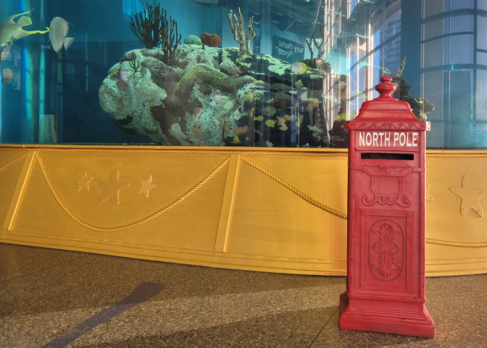 a red mail box reading "North Pole" stands in front of the Carolina Seas exhibit at South Carolina Aquarium