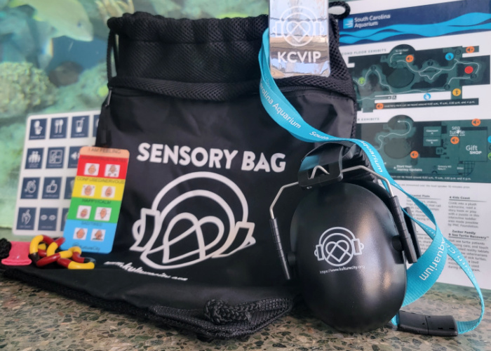Sensory bags can be checked out with a photo I.D.