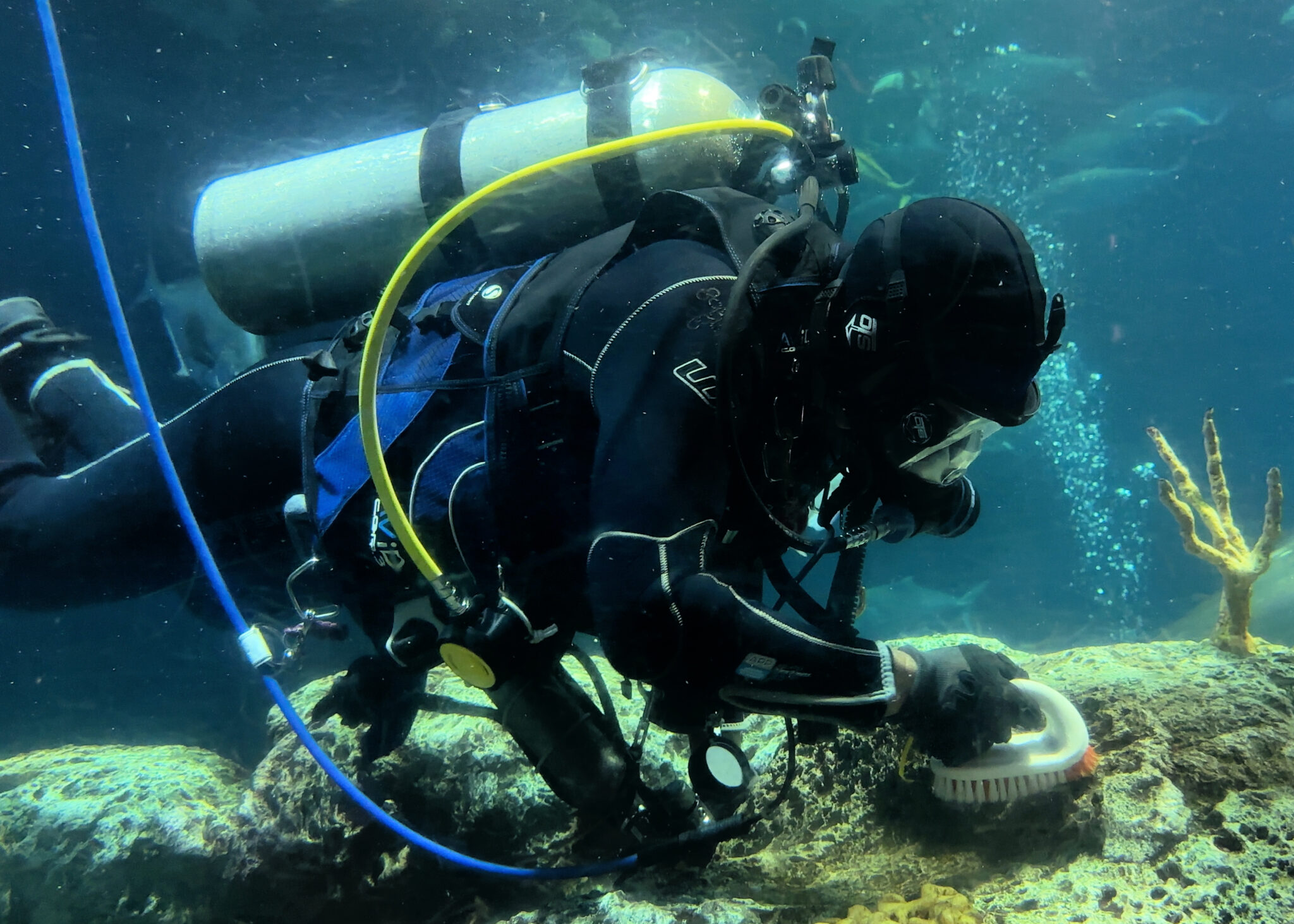 Apply for Jobs & Internships South Carolina Aquarium Now Hiring