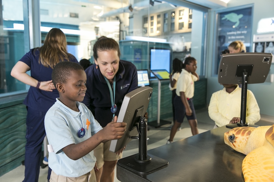 © South Carolina Aquarium Zucker Family Sea Turtle Recovery (6)