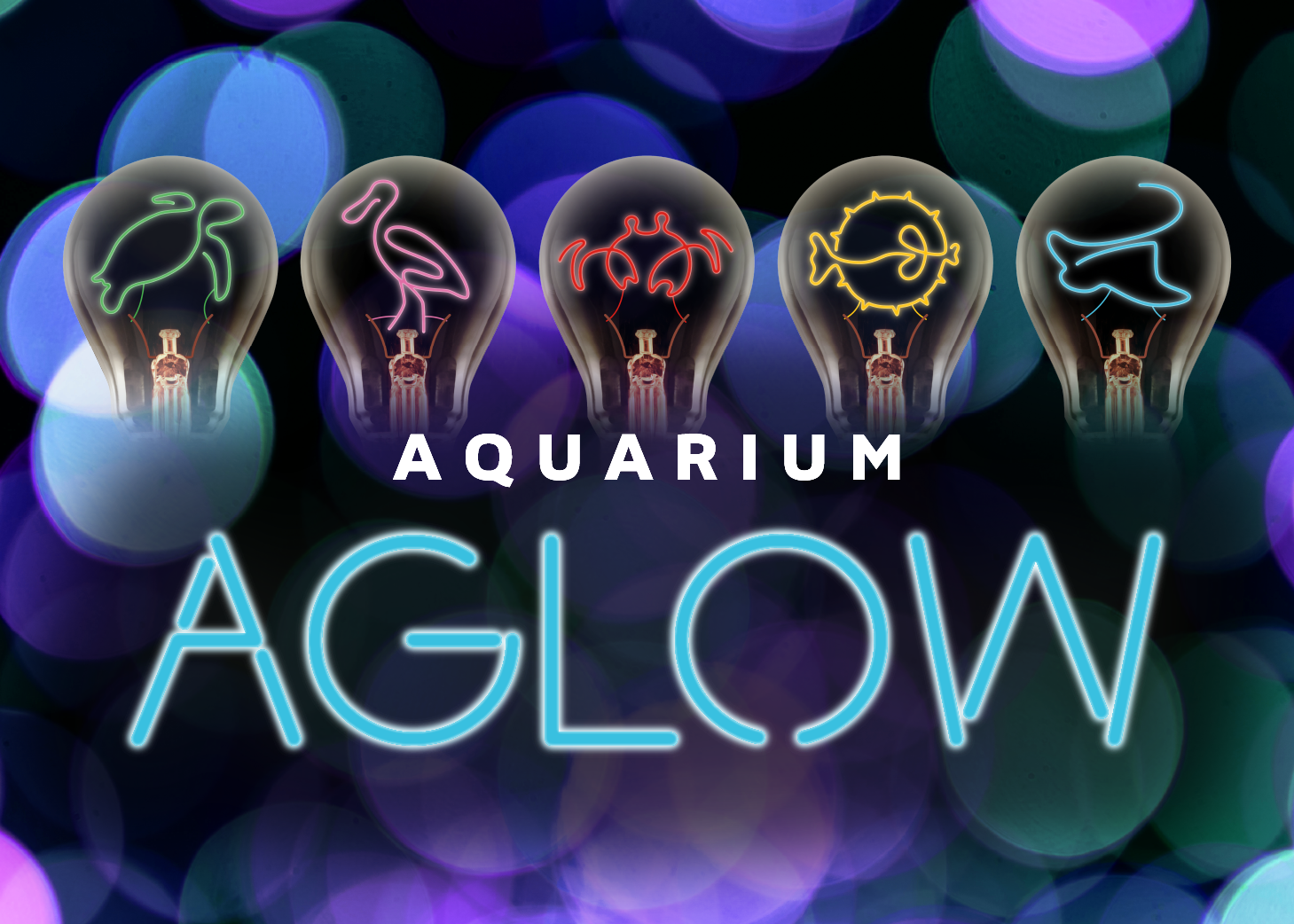 Aquarium Aglow 2025