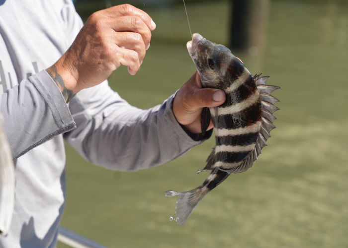NSM 5 Enjoy the fruits of your labor by sourcing your own seafood.