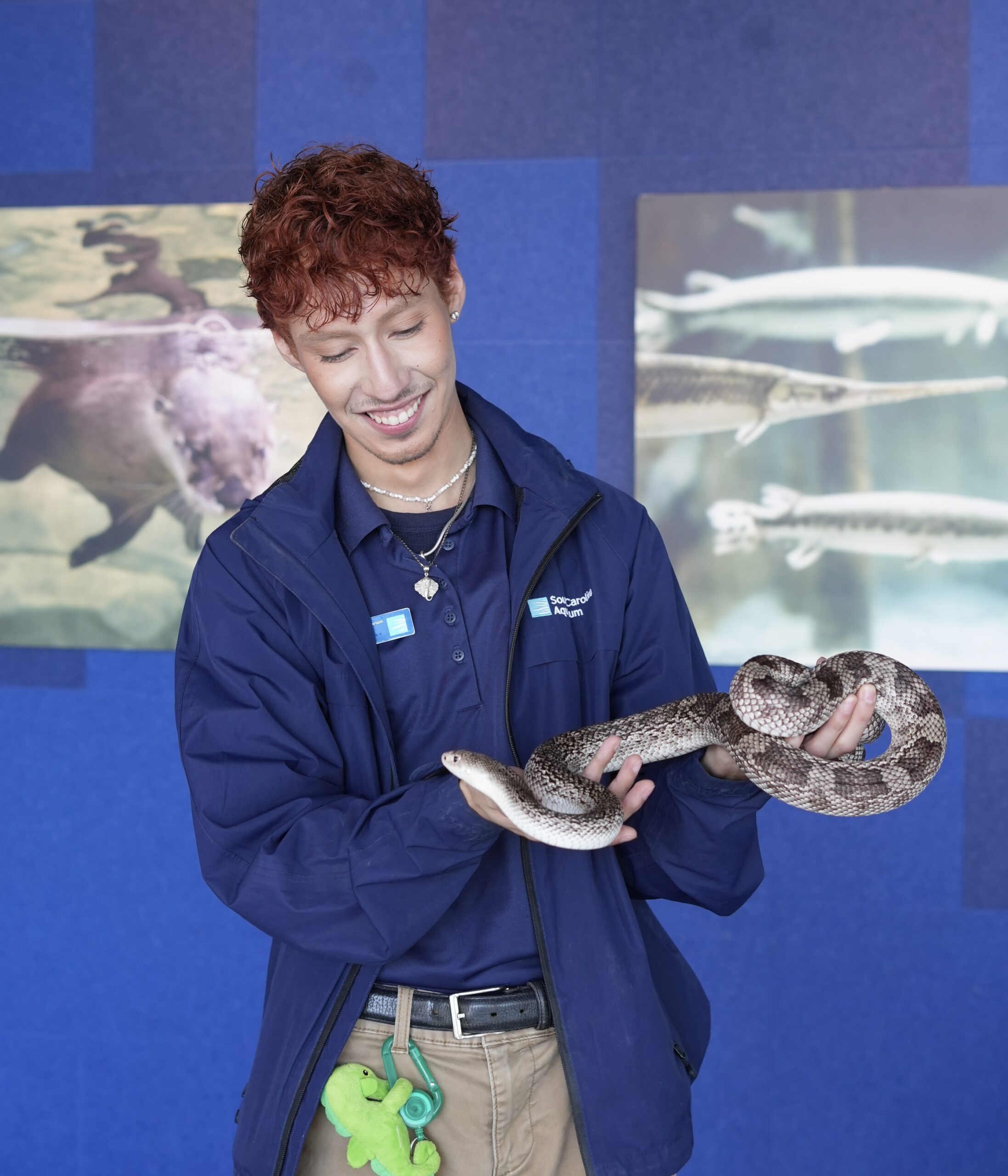 Educator with pine snake