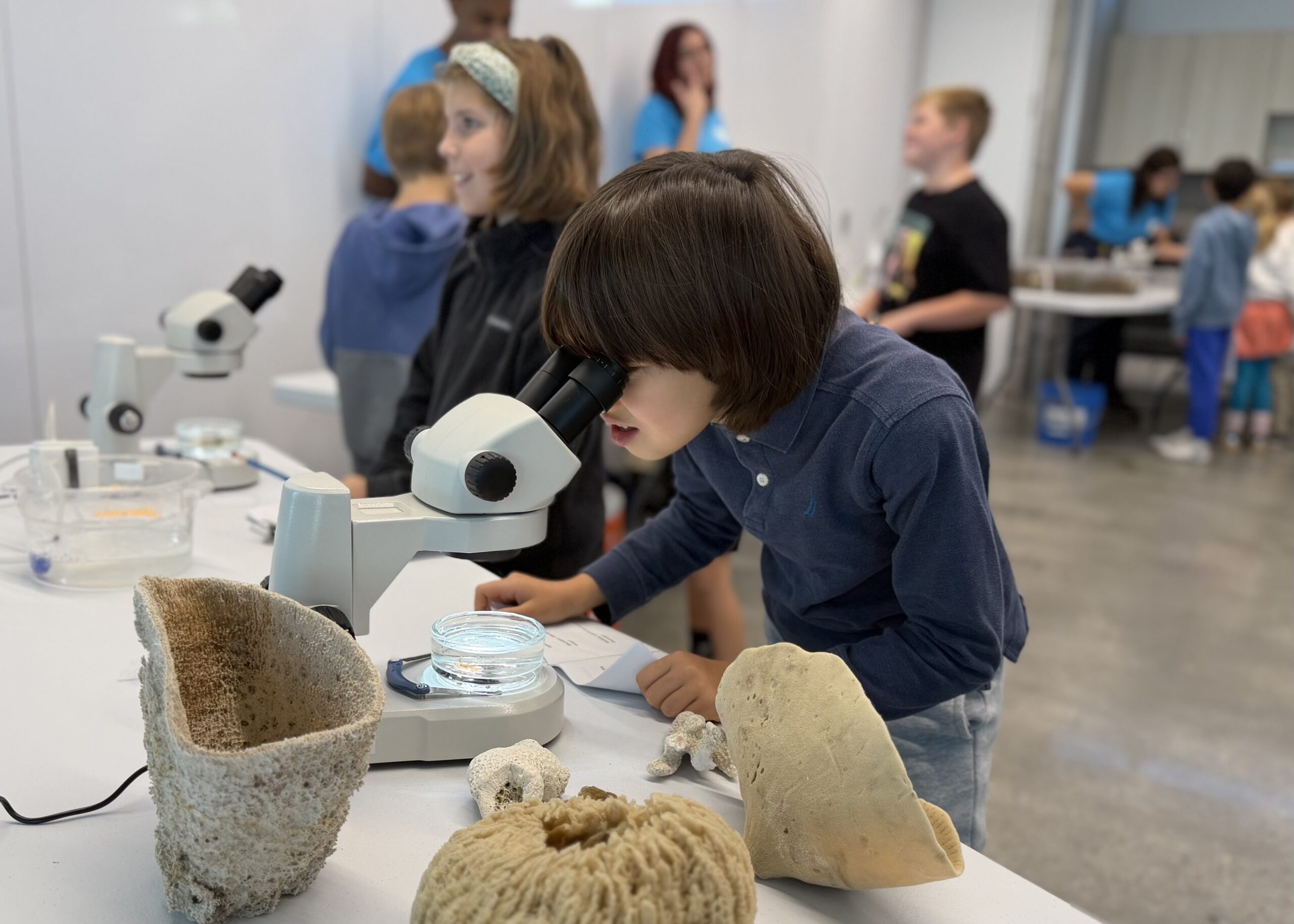 IMG_1032 Student looks in to microscope