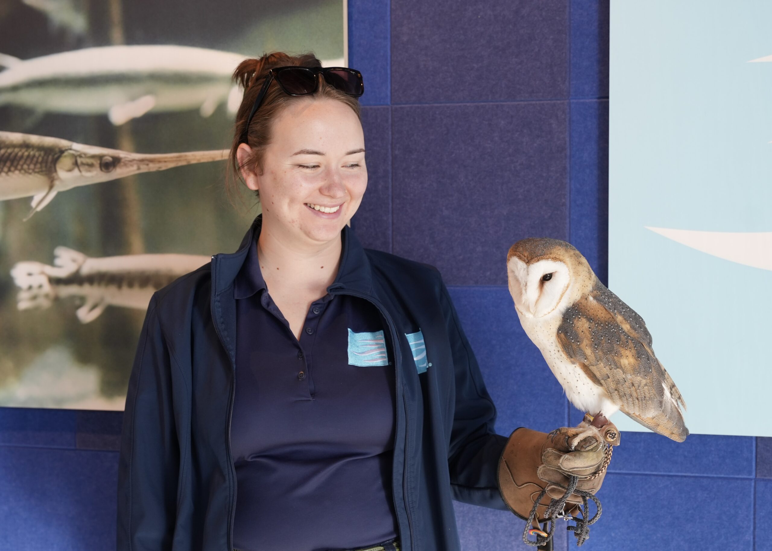 Educator holds barn owl